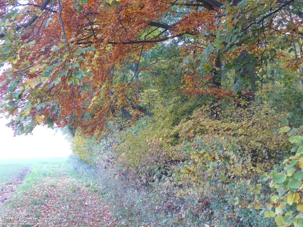 Philosophische Bildwanderung Rhein-Nahe-Schleife