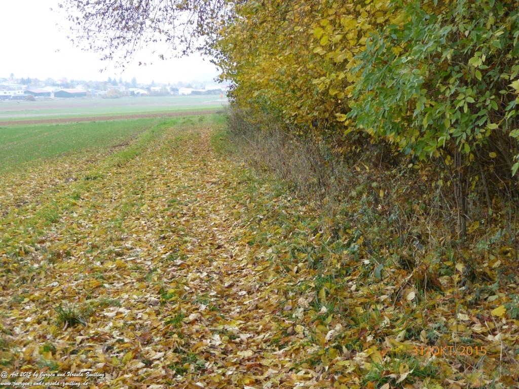 Philosophische Bildwanderung Rhein-Nahe-Schleife