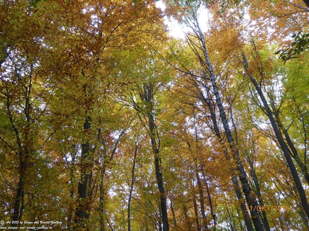 Philosophische Bildwanderung Rhein-Nahe-Schleife