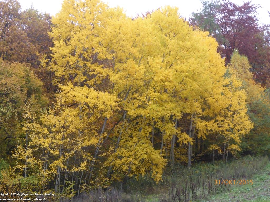 Philosophische Bildwanderung Rhein-Nahe-Schleife