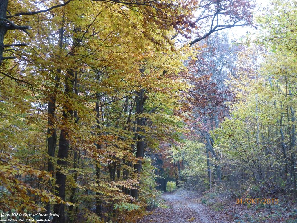 Philosophische Bildwanderung Rhein-Nahe-Schleife
