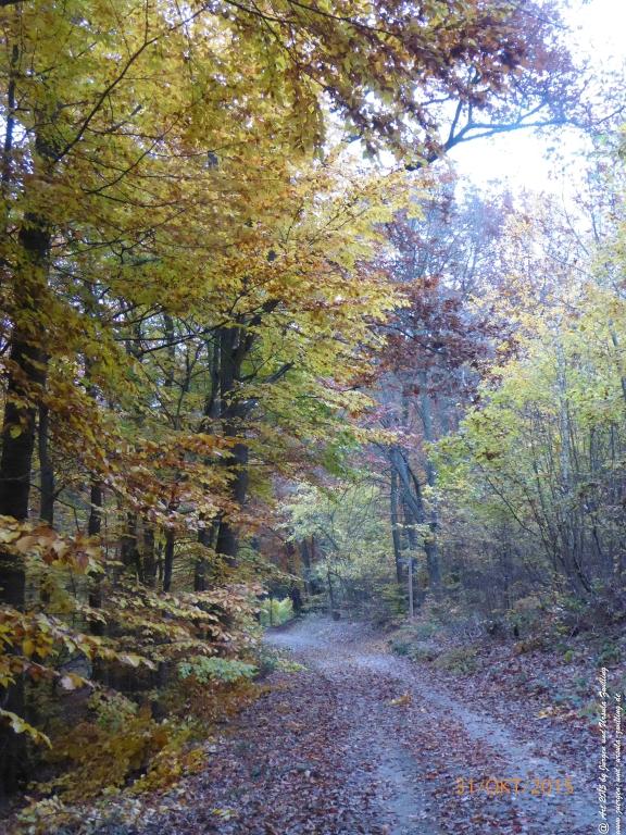 Philosophische Bildwanderung Rhein-Nahe-Schleife