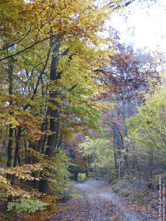 Philosophische Bildwanderung Rhein-Nahe-Schleife