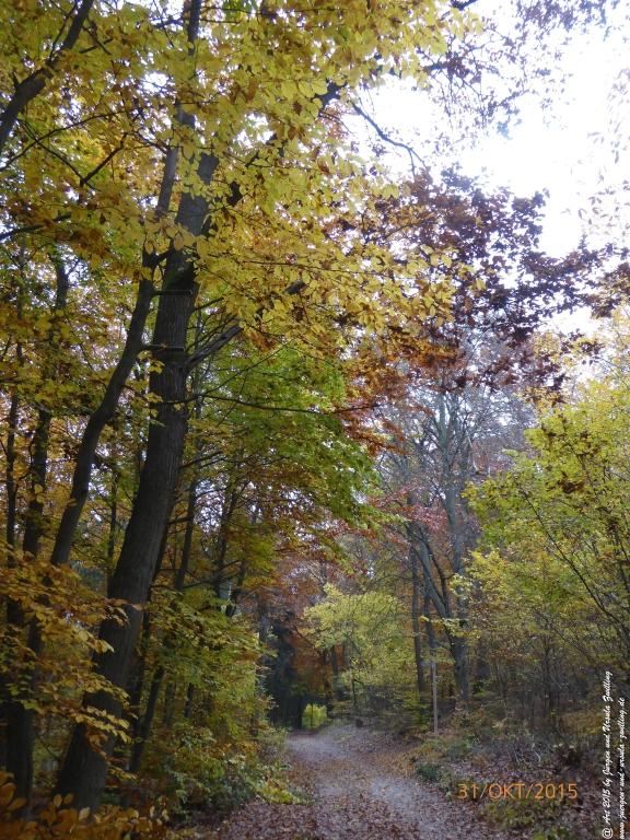 Philosophische Bildwanderung Rhein-Nahe-Schleife