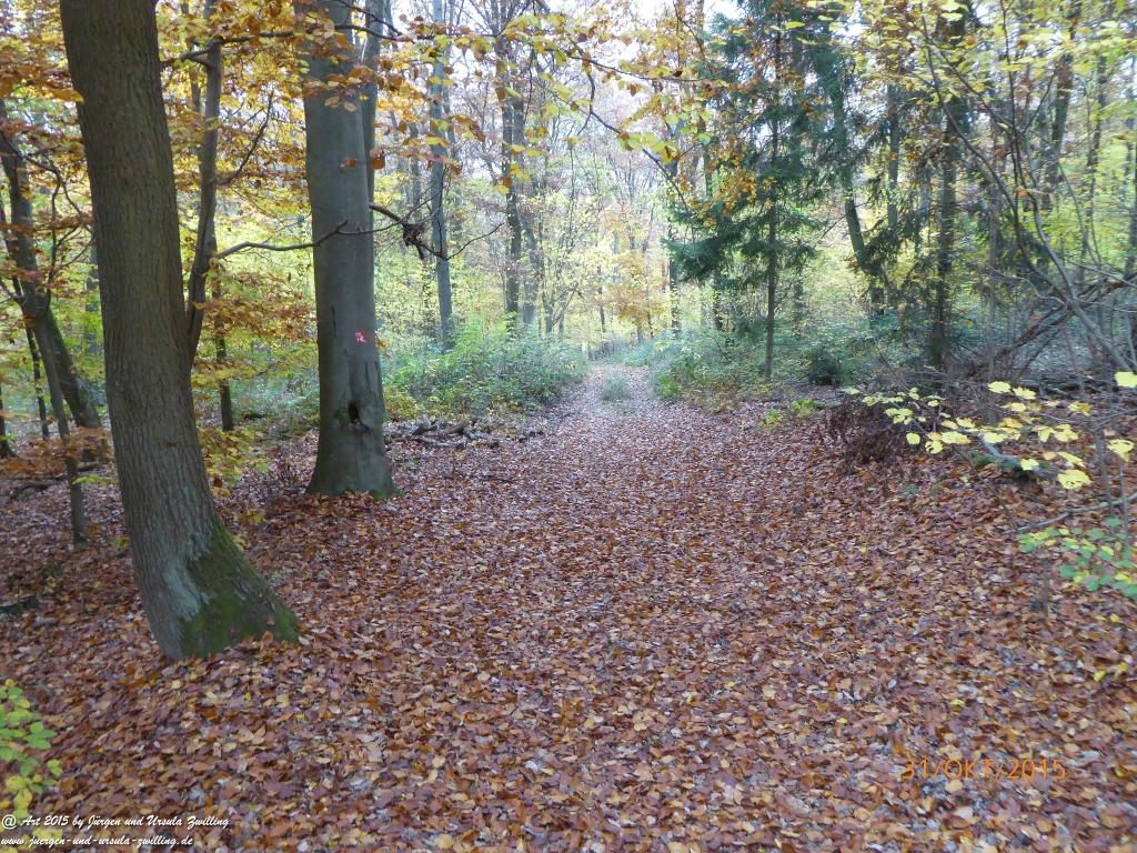 Philosophische Bildwanderung Rhein-Nahe-Schleife