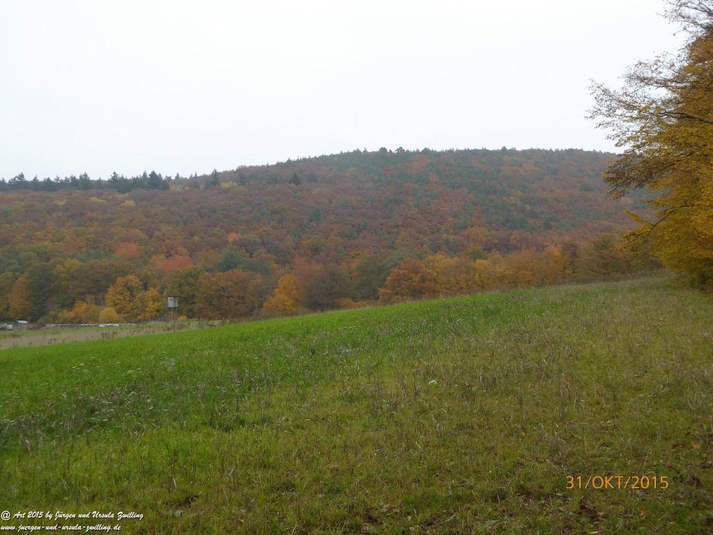 Philosophische Bildwanderung Rhein-Nahe-Schleife