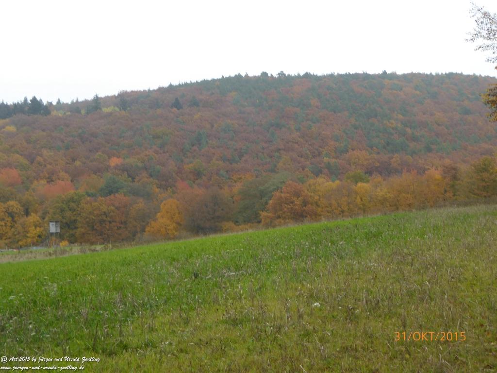 Philosophische Bildwanderung Rhein-Nahe-Schleife