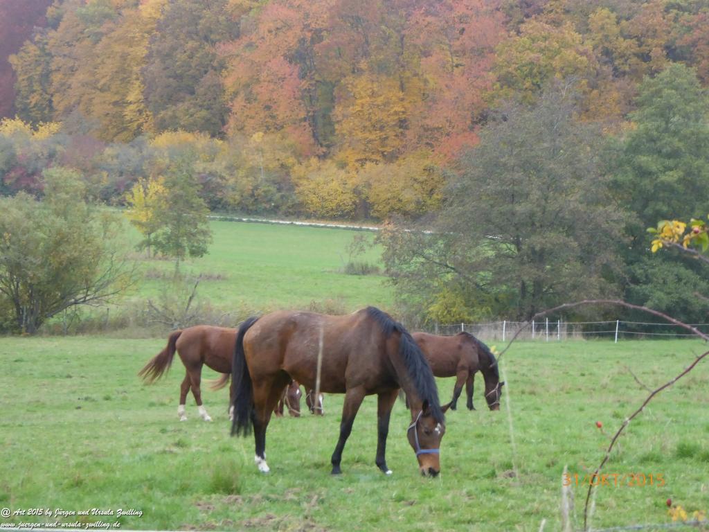 Philosophische Bildwanderung Rhein-Nahe-Schleife