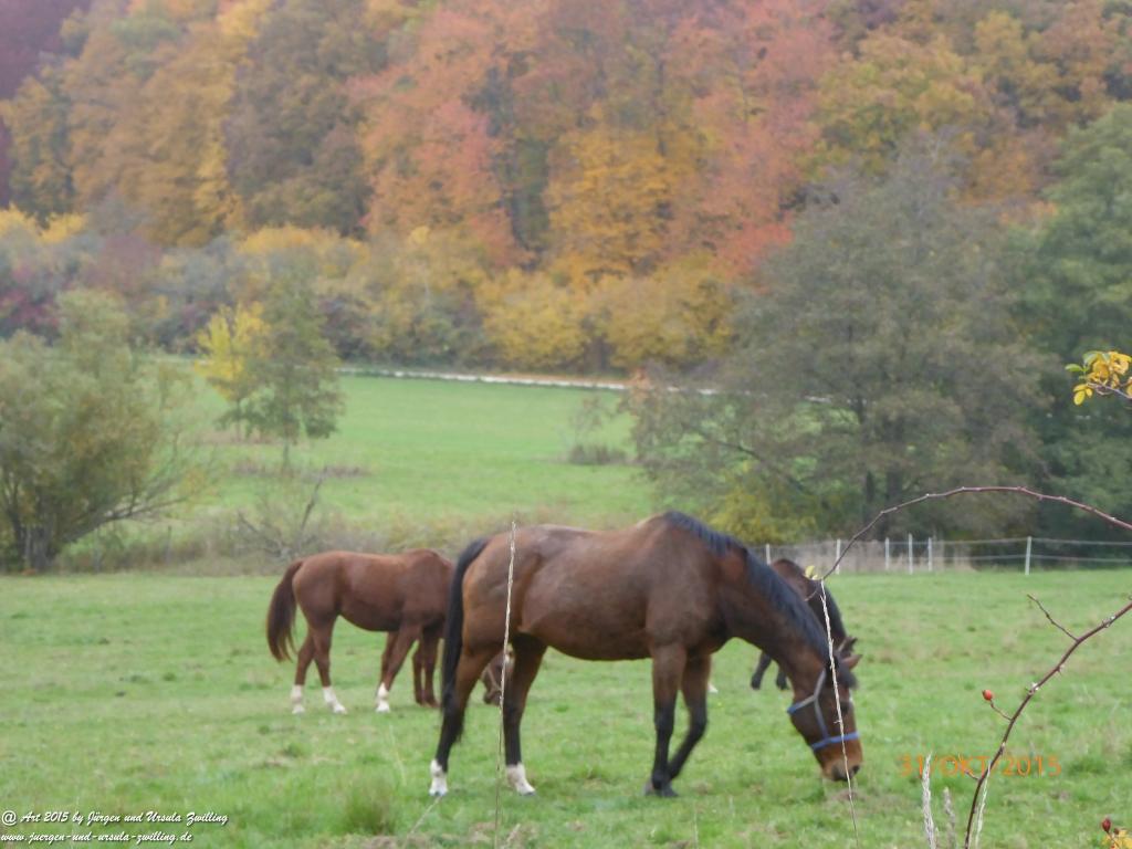 Philosophische Bildwanderung Rhein-Nahe-Schleife