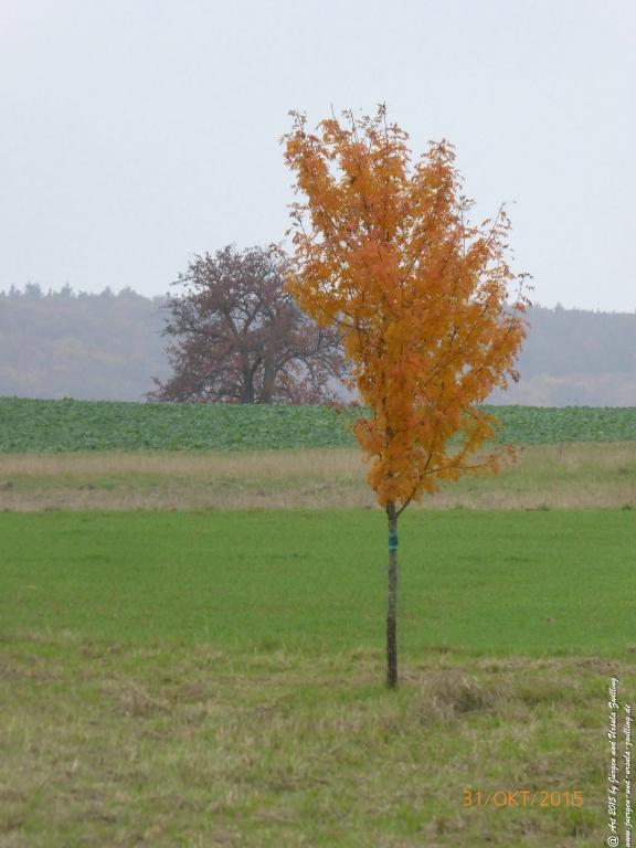 Philosophische Bildwanderung Rhein-Nahe-Schleife