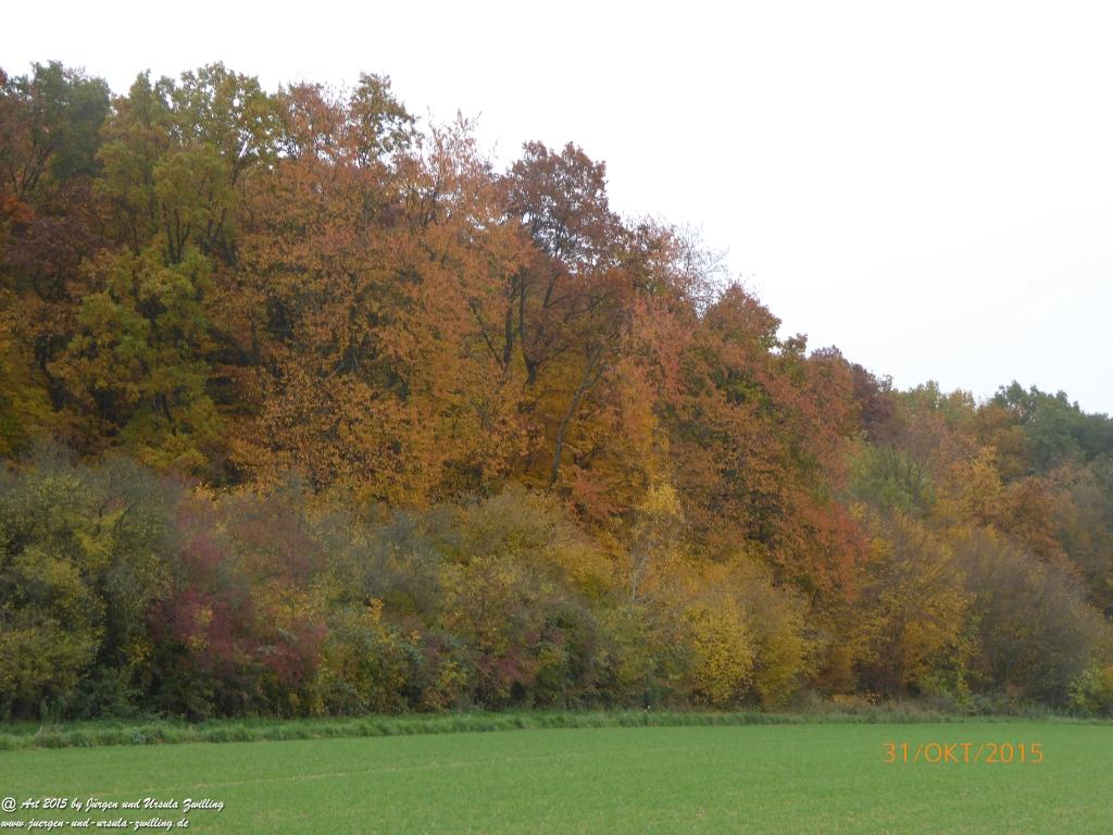 Philosophische Bildwanderung Rhein-Nahe-Schleife
