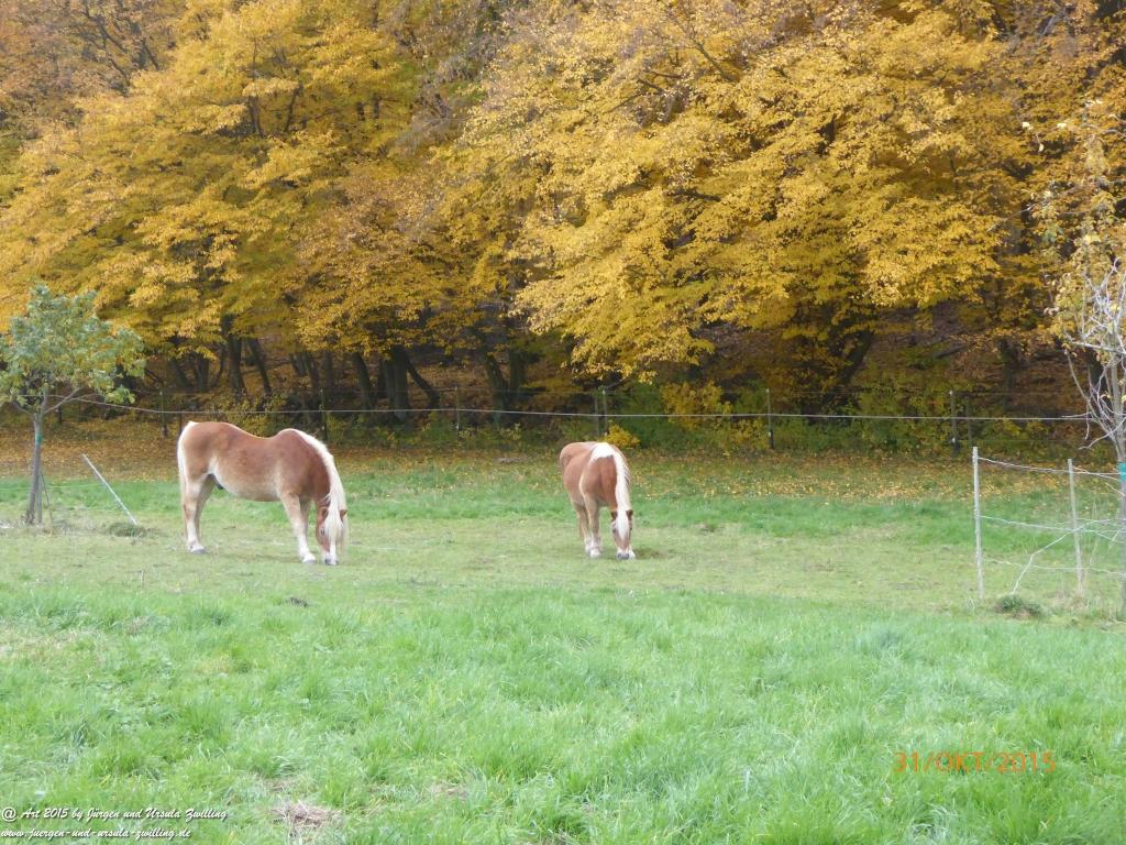 Philosophische Bildwanderung Rhein-Nahe-Schleife
