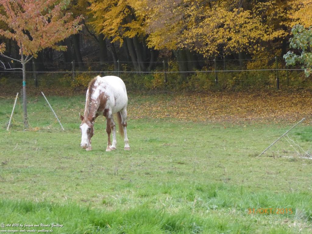 Philosophische Bildwanderung Rhein-Nahe-Schleife