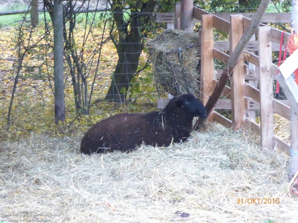 Philosophische Bildwanderung Rhein-Nahe-Schleife