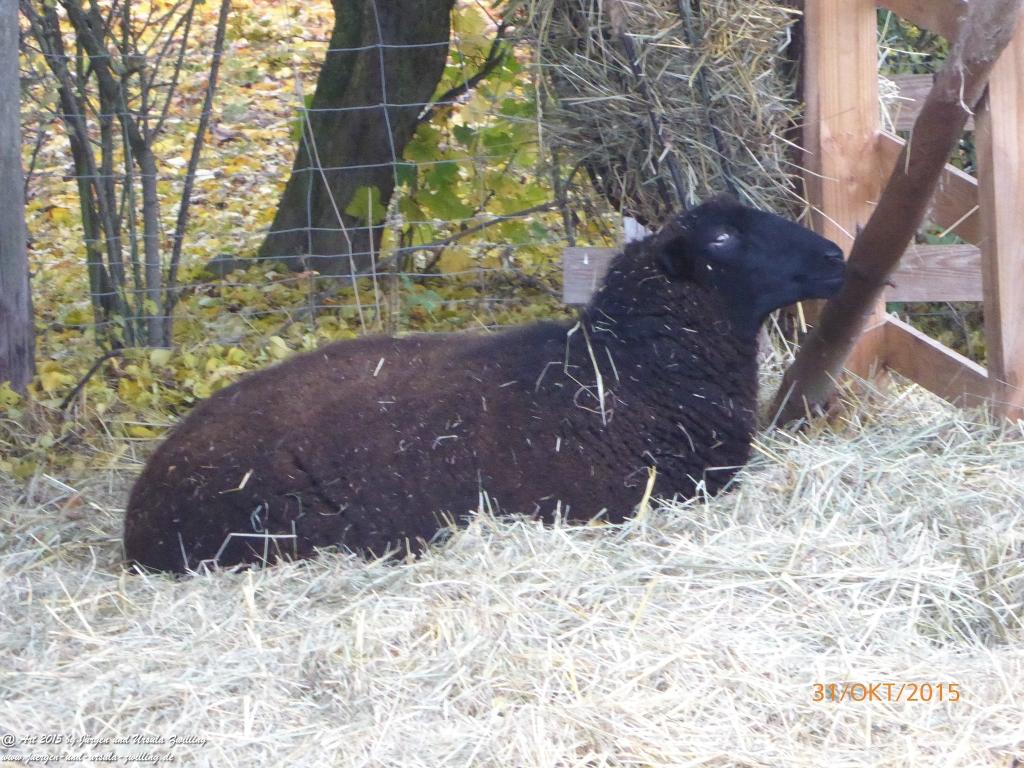 Philosophische Bildwanderung Rhein-Nahe-Schleife
