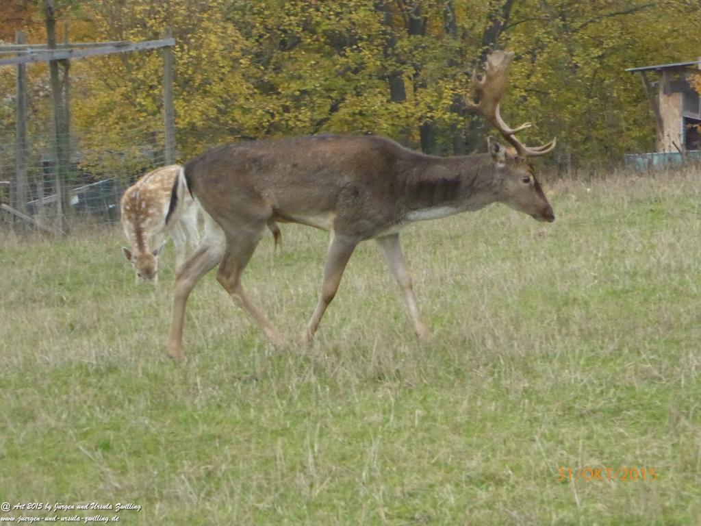 Philosophische Bildwanderung Rhein-Nahe-Schleife