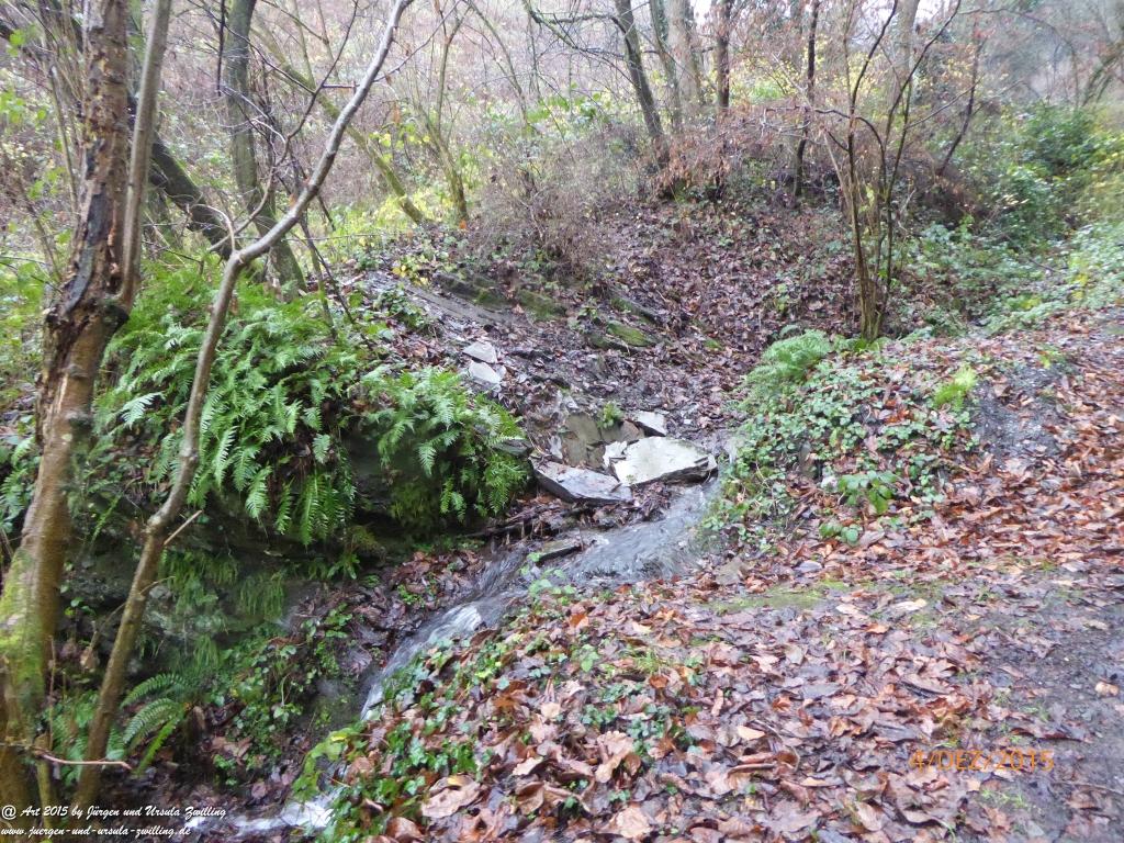 Philosophische Bildwanderung Wanderweg-Bernkasteler-Bärensteig - Seitensprung mit Weihnachtsmarkt im mittelalterlichen Bernkastel-Kues