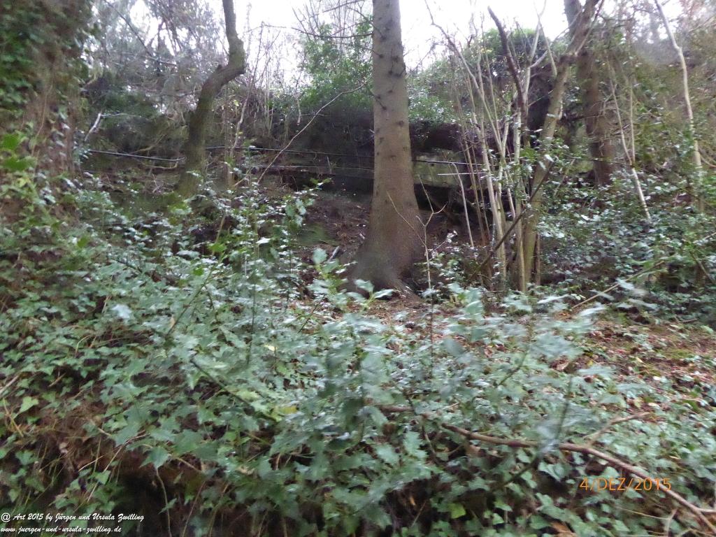 Philosophische Bildwanderung Wanderweg-Bernkasteler-Bärensteig - Seitensprung mit Weihnachtsmarkt im mittelalterlichen Bernkastel-Kues