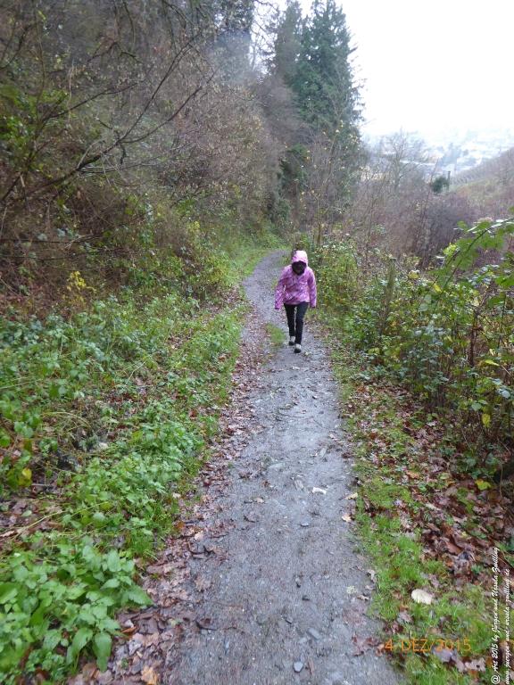 Philosophische Bildwanderung Wanderweg-Bernkasteler-Bärensteig - Seitensprung mit Weihnachtsmarkt im mittelalterlichen Bernkastel-Kues
