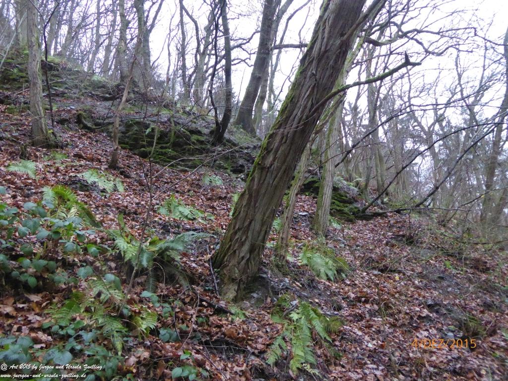 Philosophische Bildwanderung Wanderweg-Bernkasteler-Bärensteig - Seitensprung mit Weihnachtsmarkt im mittelalterlichen Bernkastel-Kues