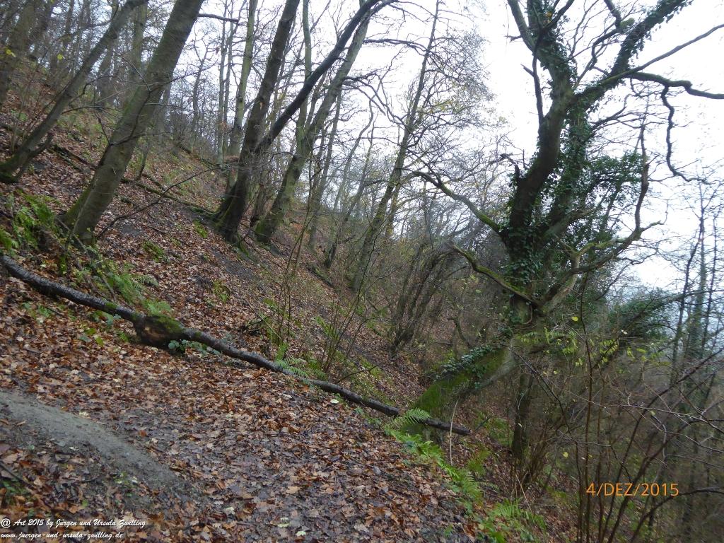 Philosophische Bildwanderung Wanderweg-Bernkasteler-Bärensteig - Seitensprung mit Weihnachtsmarkt im mittelalterlichen Bernkastel-Kues