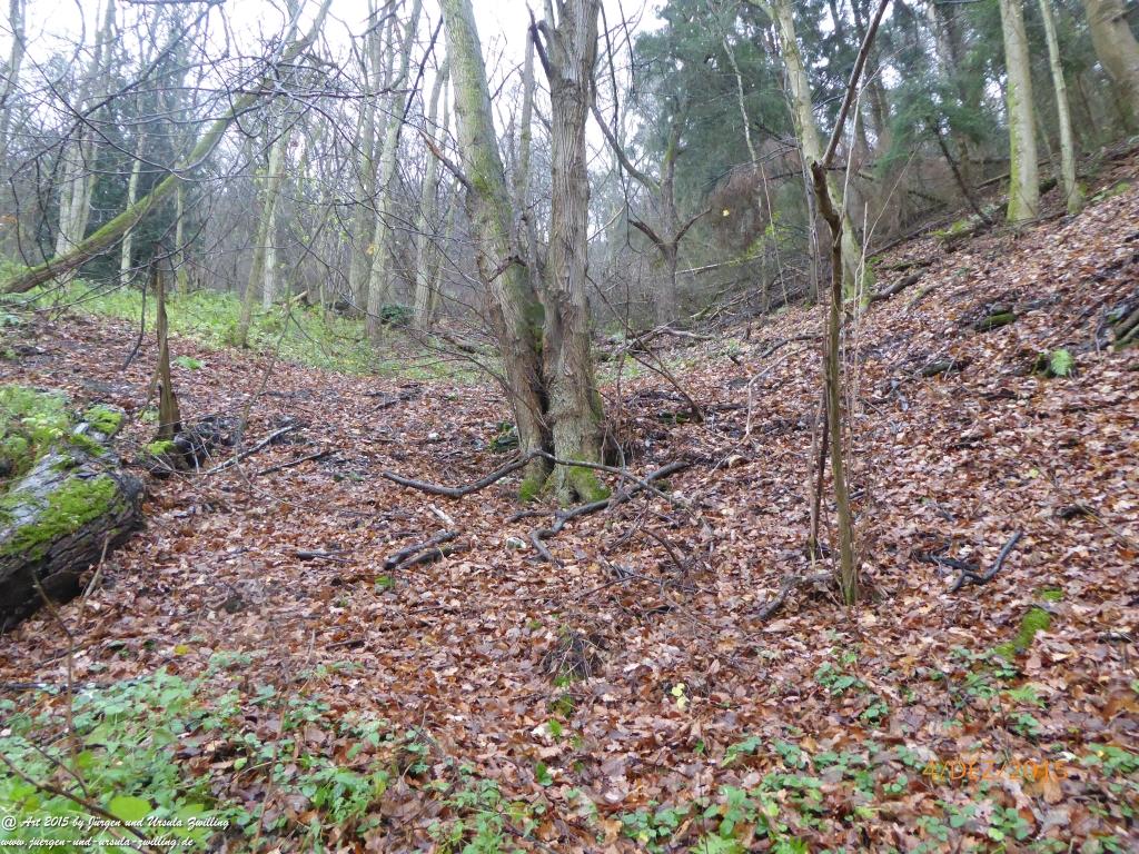 Philosophische Bildwanderung Wanderweg-Bernkasteler-Bärensteig - Seitensprung mit Weihnachtsmarkt im mittelalterlichen Bernkastel-Kues