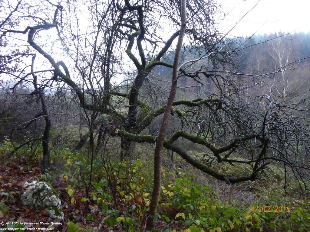 Philosophische Bildwanderung  Wanderweg-Bernkasteler-Bärensteig - Seitensprung mit Weihnachtsmarkt im mittelalterlichen Bernkastel-Kues