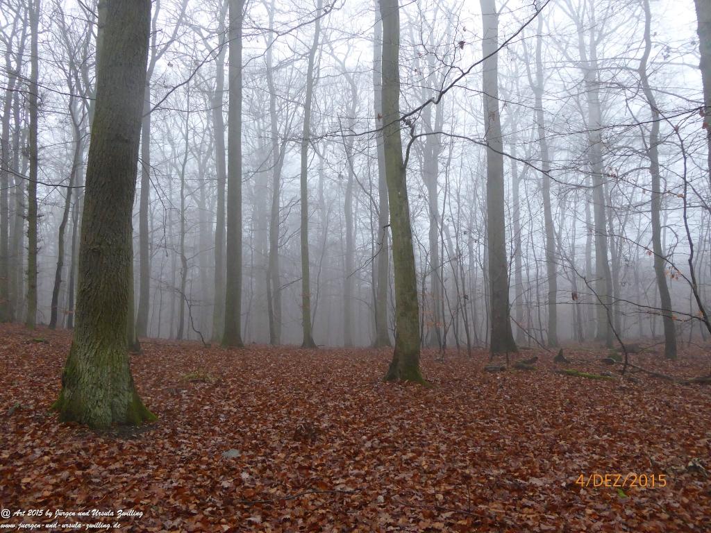 Philosophische Bildwanderung Wanderweg-Bernkasteler-Bärensteig - Seitensprung mit Weihnachtsmarkt im mittelalterlichen Bernkastel-Kues