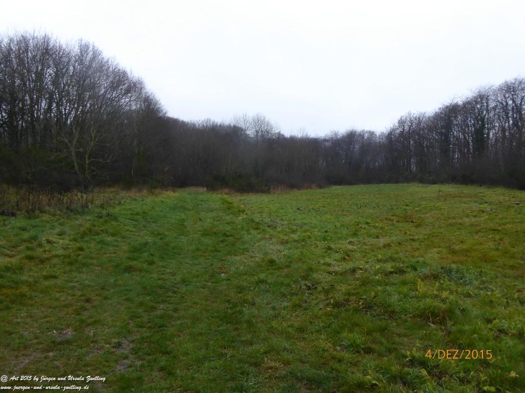 Philosophische Bildwanderung Wanderweg-Bernkasteler-Bärensteig - Seitensprung mit Weihnachtsmarkt im mittelalterlichen Bernkastel-Kues
