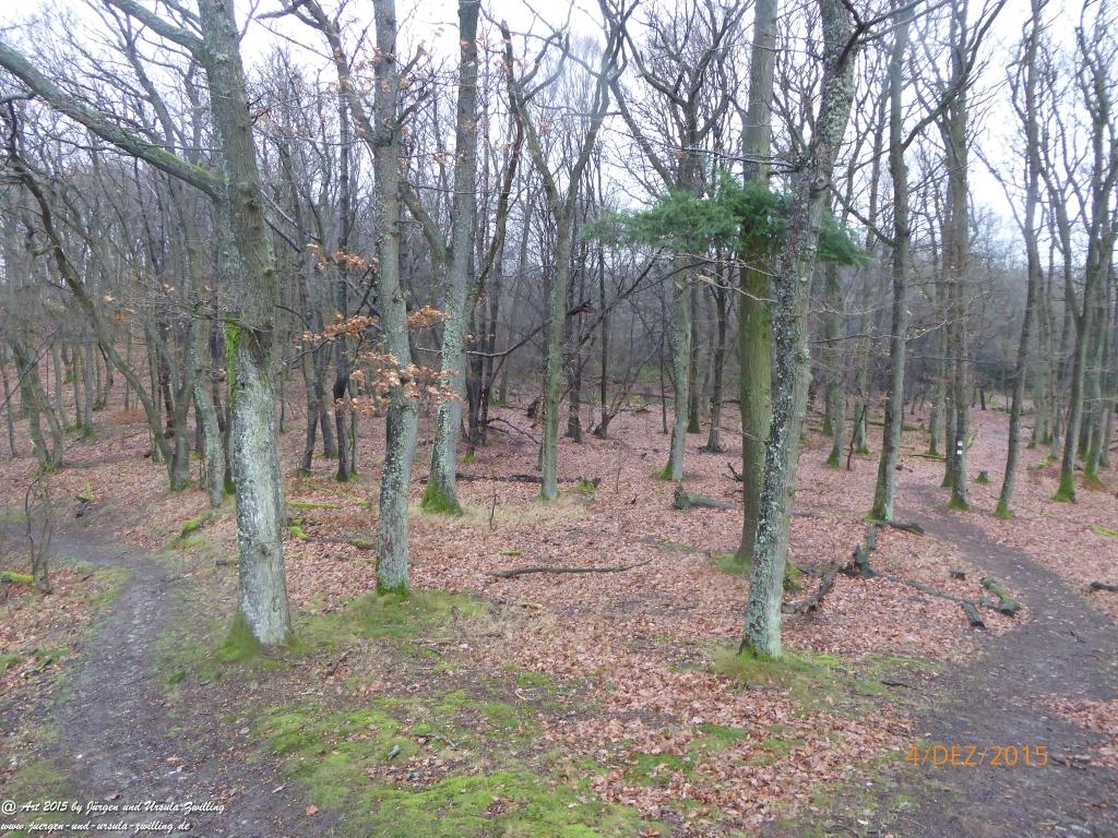 Philosophische Bildwanderung Wanderweg-Bernkasteler-Bärensteig - Seitensprung mit Weihnachtsmarkt im mittelalterlichen Bernkastel-Kues