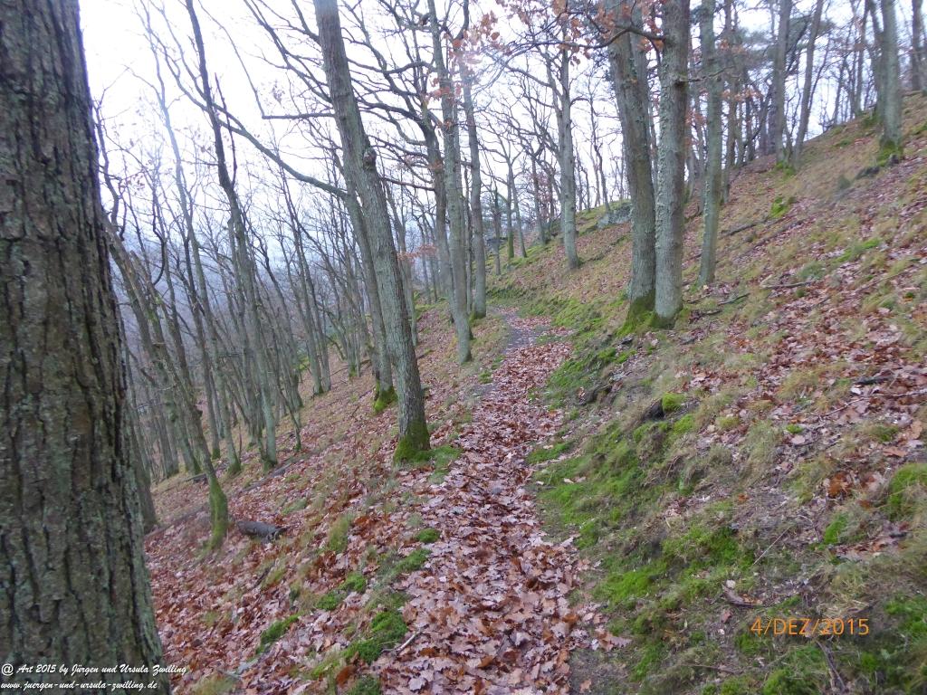 Philosophische Bildwanderung Wanderweg-Bernkasteler-Bärensteig - Seitensprung mit Weihnachtsmarkt im mittelalterlichen Bernkastel-Kues