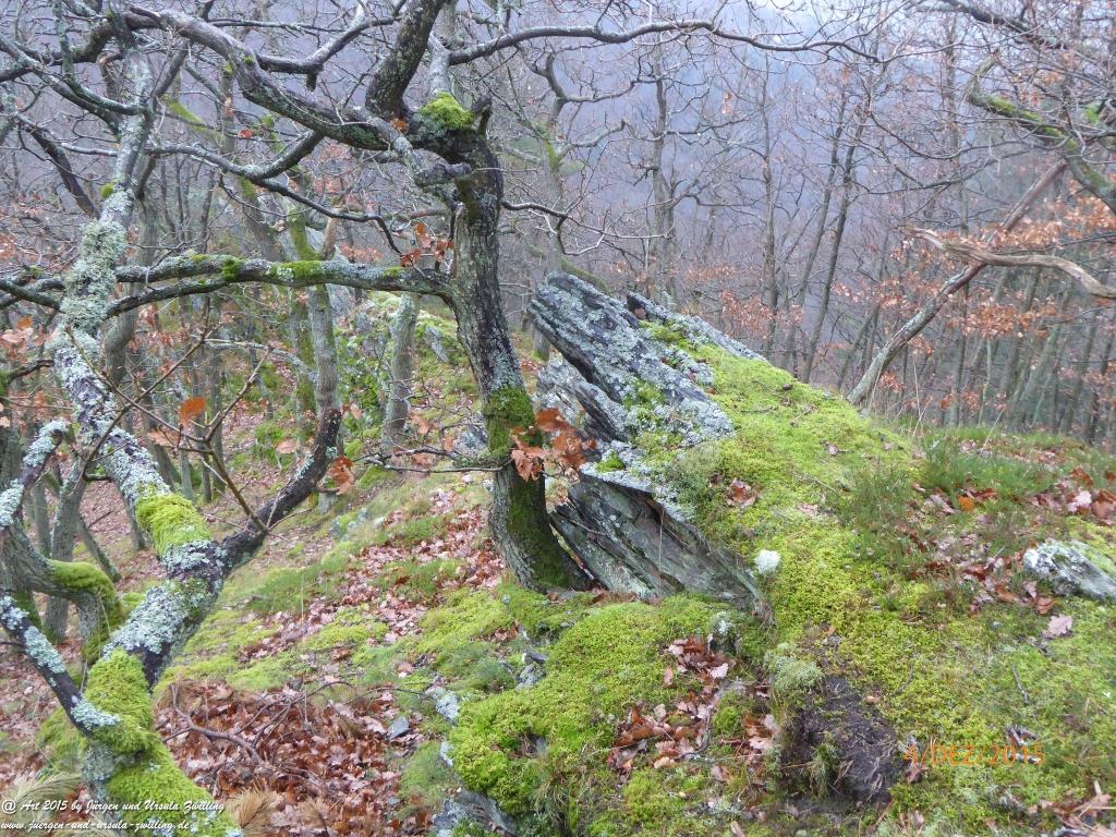 Philosophische Bildwanderung Wanderweg-Bernkasteler-Bärensteig - Seitensprung mit Weihnachtsmarkt im mittelalterlichen Bernkastel-Kues