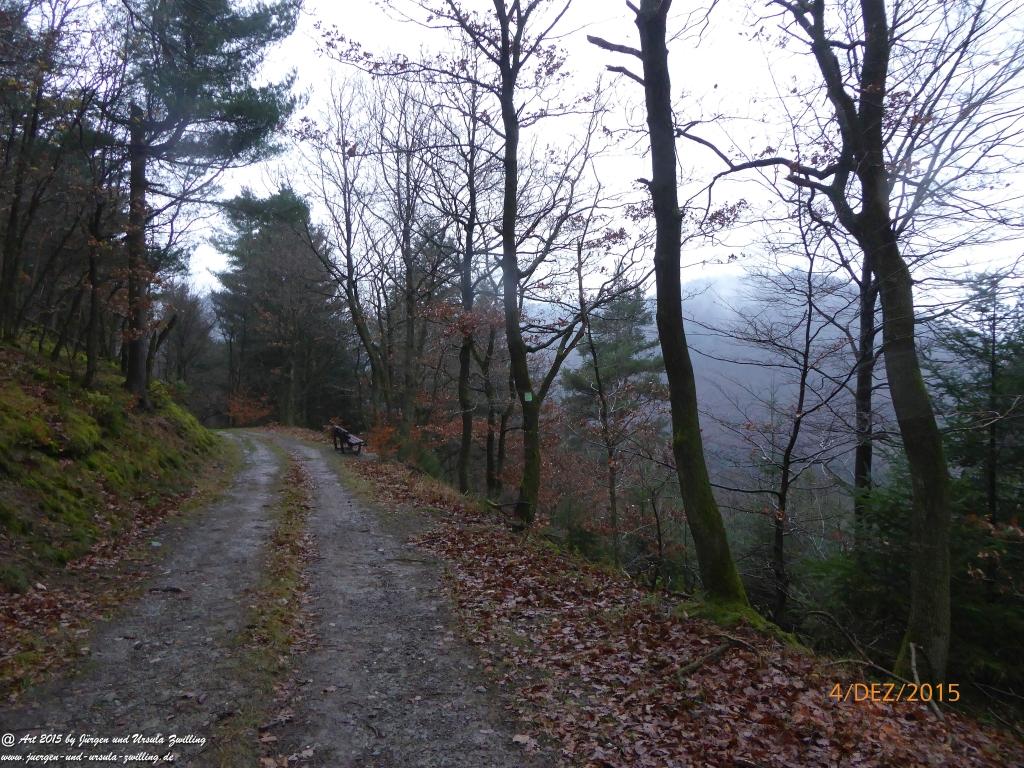 Philosophische Bildwanderung Wanderweg-Bernkasteler-Bärensteig - Seitensprung mit Weihnachtsmarkt im mittelalterlichen Bernkastel-Kues