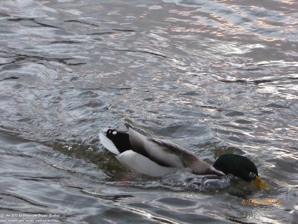 Philosophische Bildwanderung  Wanderweg-Bernkasteler-Bärensteig - Seitensprung mit Weihnachtsmarkt im mittelalterlichen Bernkastel-Kues