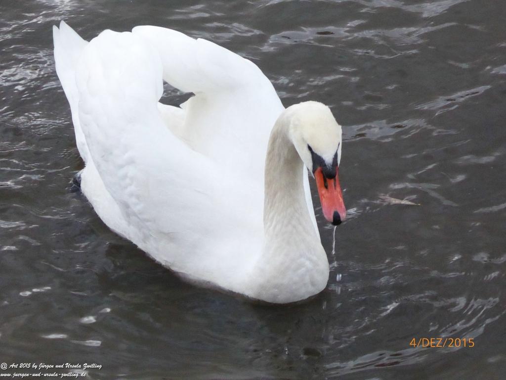 Mittelalterliches Bernkastel-Kues mit Weihnachtsmarkt