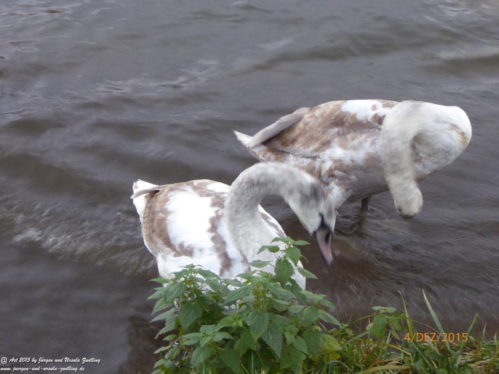 Mittelalterliches Bernkastel-Kues mit Weihnachtsmarkt
