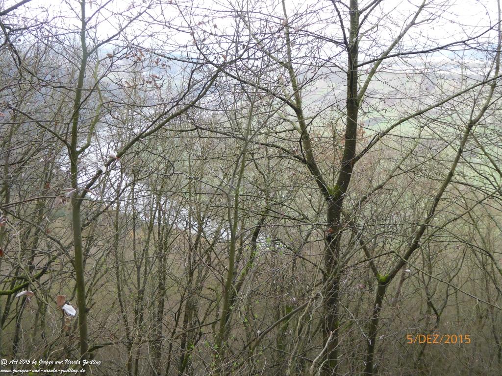 Philosophische Bildwanderung  Moselsteig-Seitensprung-Briedeler-Schweiz 