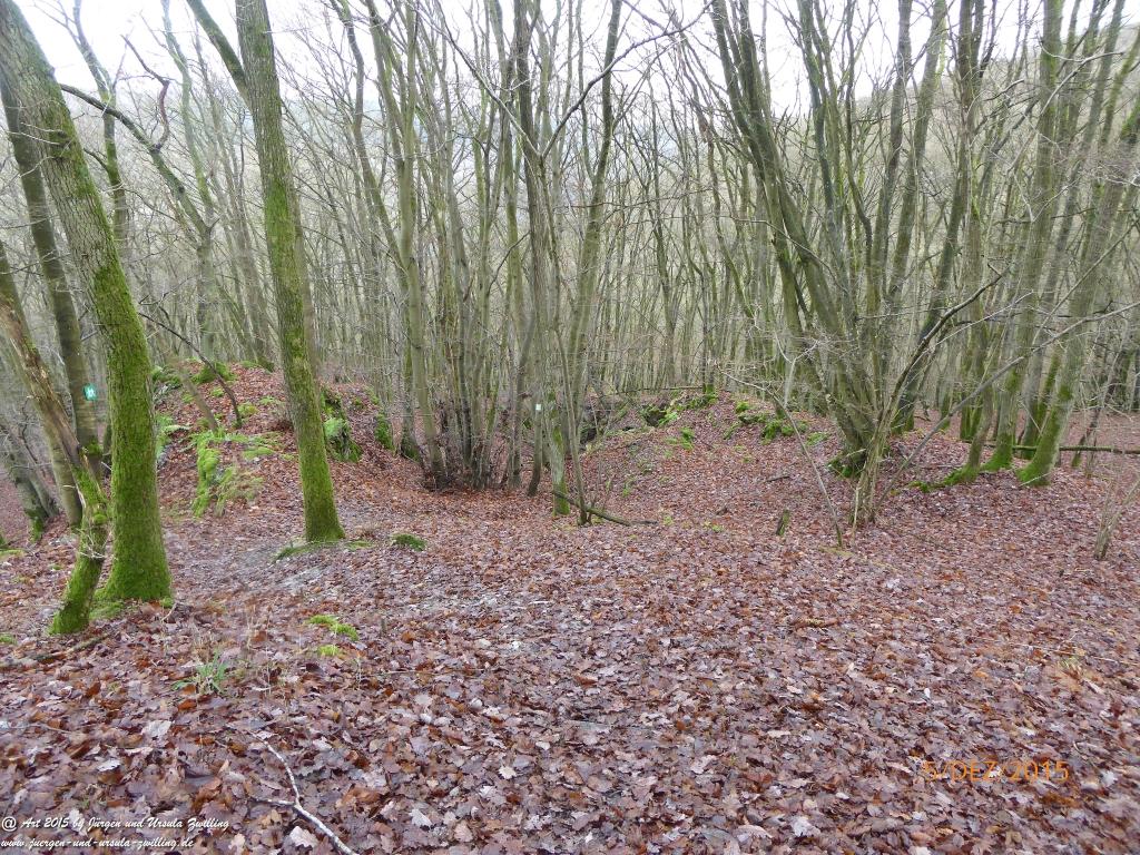 Philosophische Bildwanderung  Moselsteig-Seitensprung-Briedeler-Schweiz 