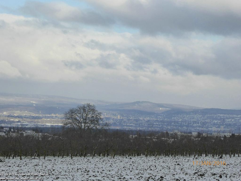 Rheingaublick aus Rheinhessen noch ohne Windkrafträder