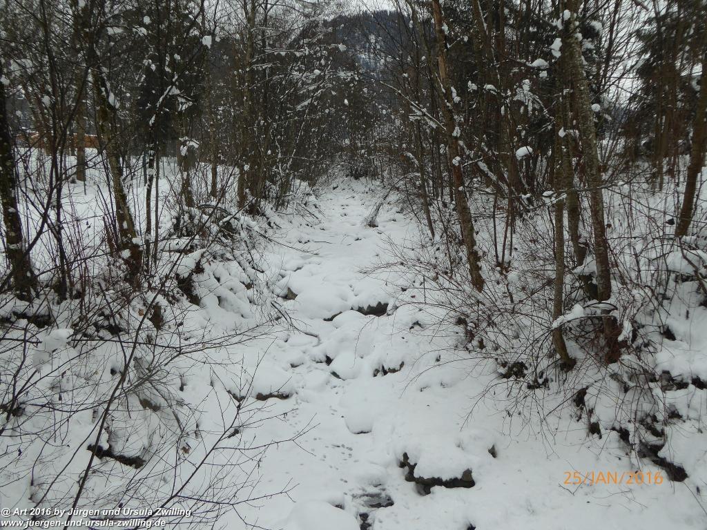 Philosophische Bildwanderung - Kaiserrunde über den Hauning - Söll - Tirol - Kaisergebirge