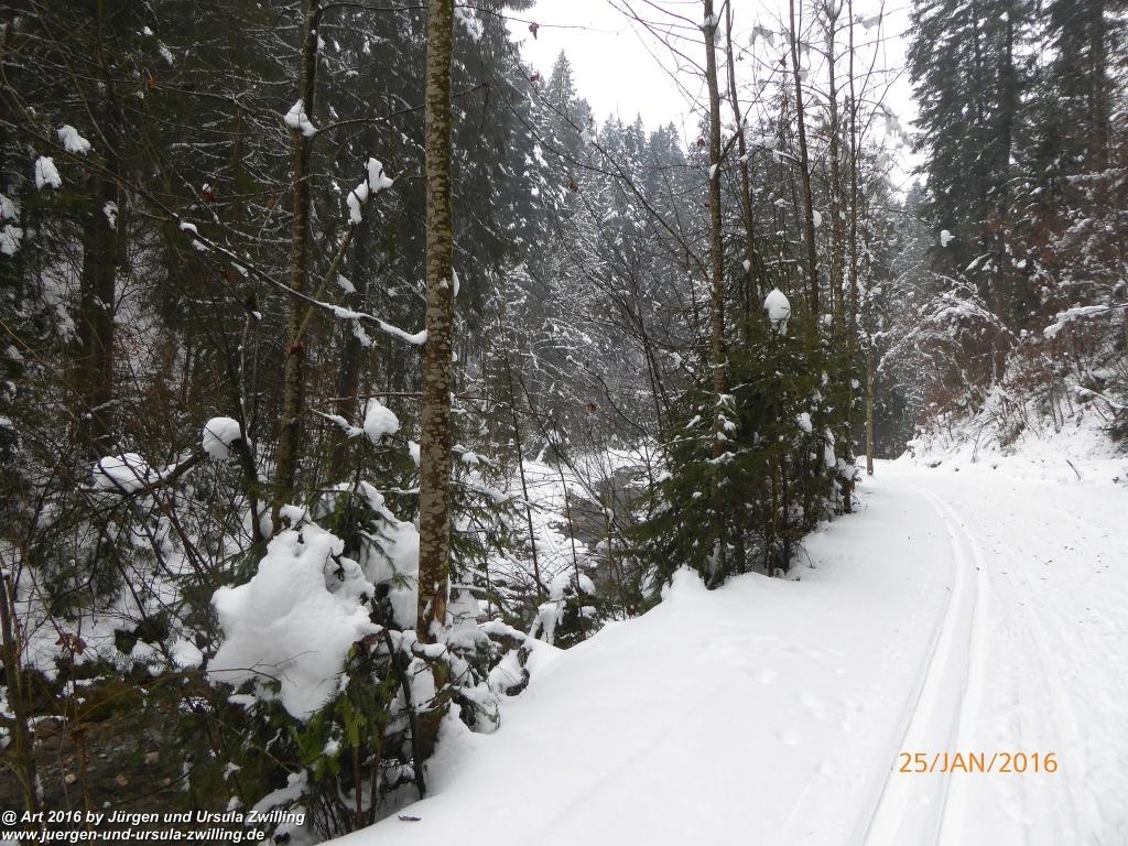 Philosophische Bildwanderung - Kaiserrunde über den Hauning - Söll - Tirol - Kaisergebirge