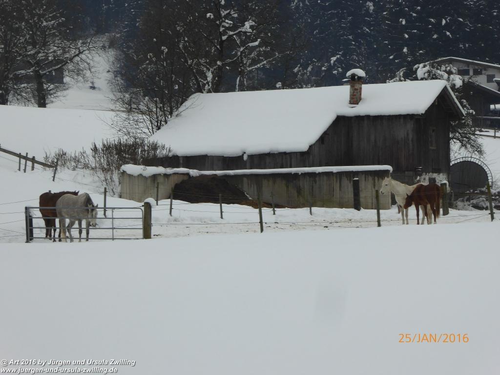 Philosophische Bildwanderung - Kaiserrunde über den Hauning - Söll - Tirol - Kaisergebirge
