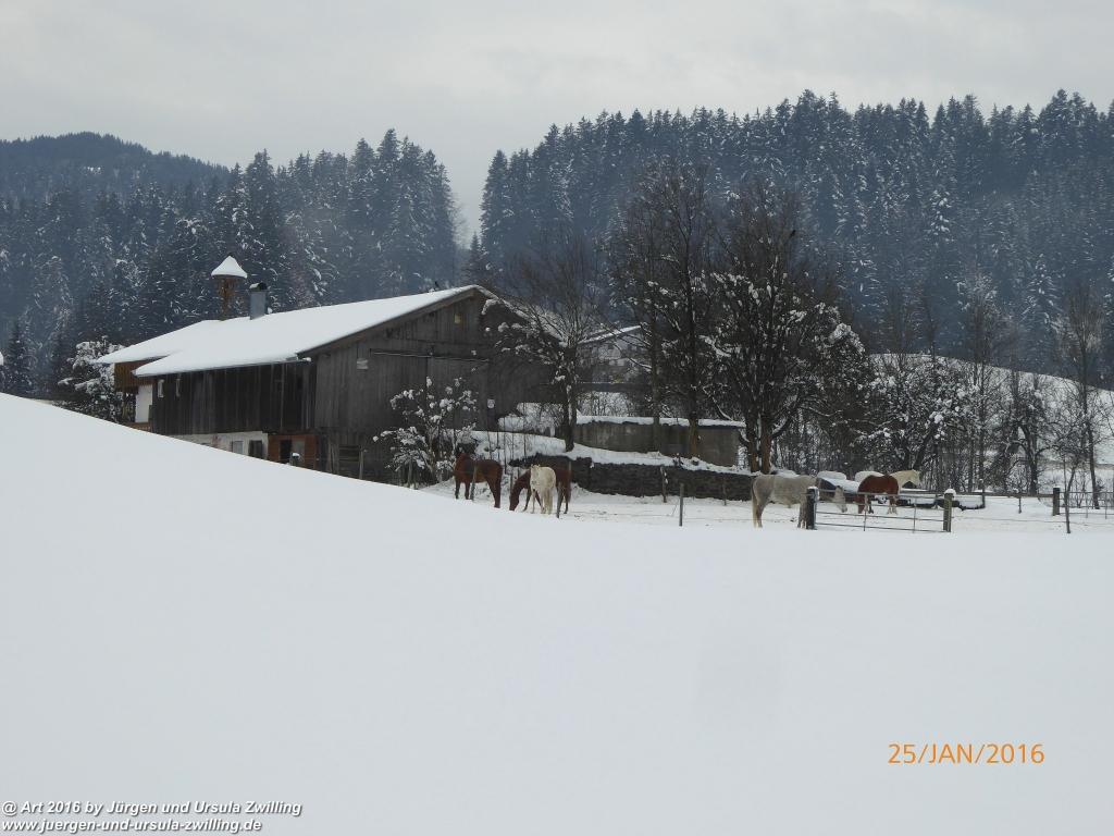 Philosophische Bildwanderung - Kaiserrunde über den Hauning - Söll - Tirol - Kaisergebirge