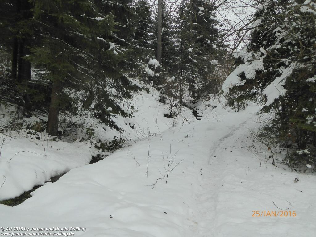 Philosophische Bildwanderung - Kaiserrunde über den Hauning - Söll - Tirol - Kaisergebirge