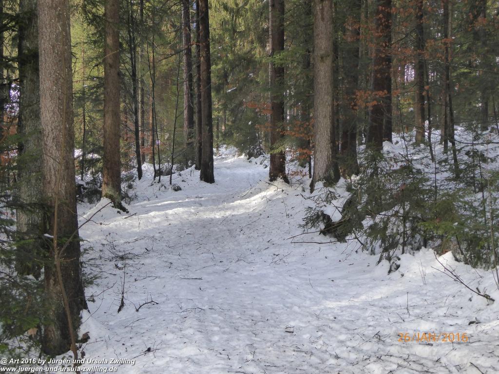 Philosophische Bildwanderung - Haflingertränke - Ellmau-Tirol - Kaisergebirge - Österreich