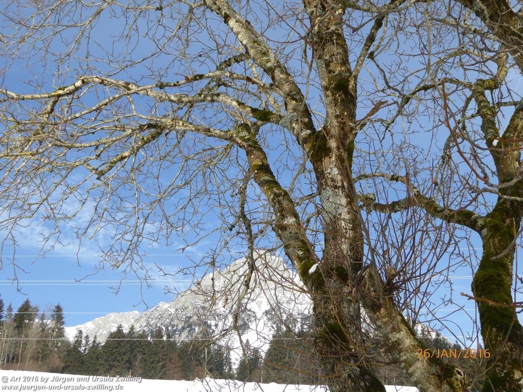 Philosophische Bildwanderung - Haflingertränke - Ellmau-Tirol - Kaisergebirge - Österreich