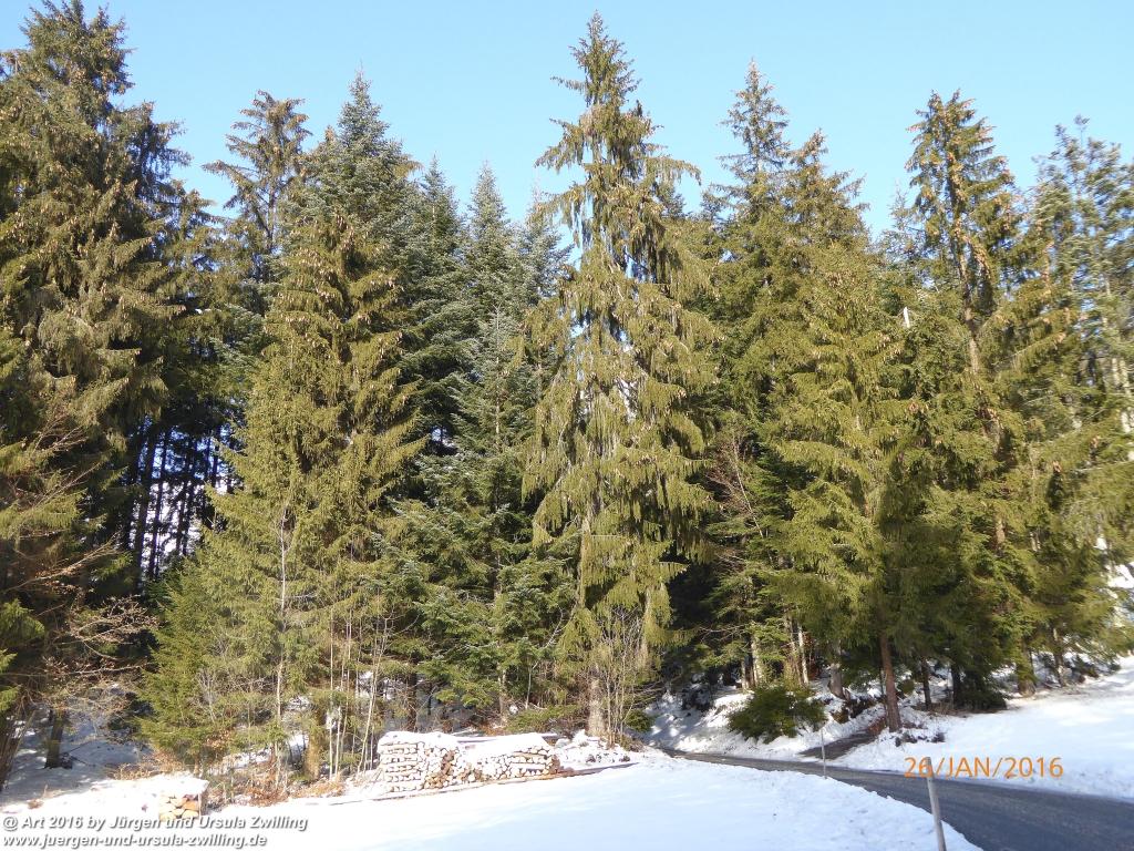 Philosophische Bildwanderung - Haflingertränke - Ellmau-Tirol - Kaisergebirge - Österreich