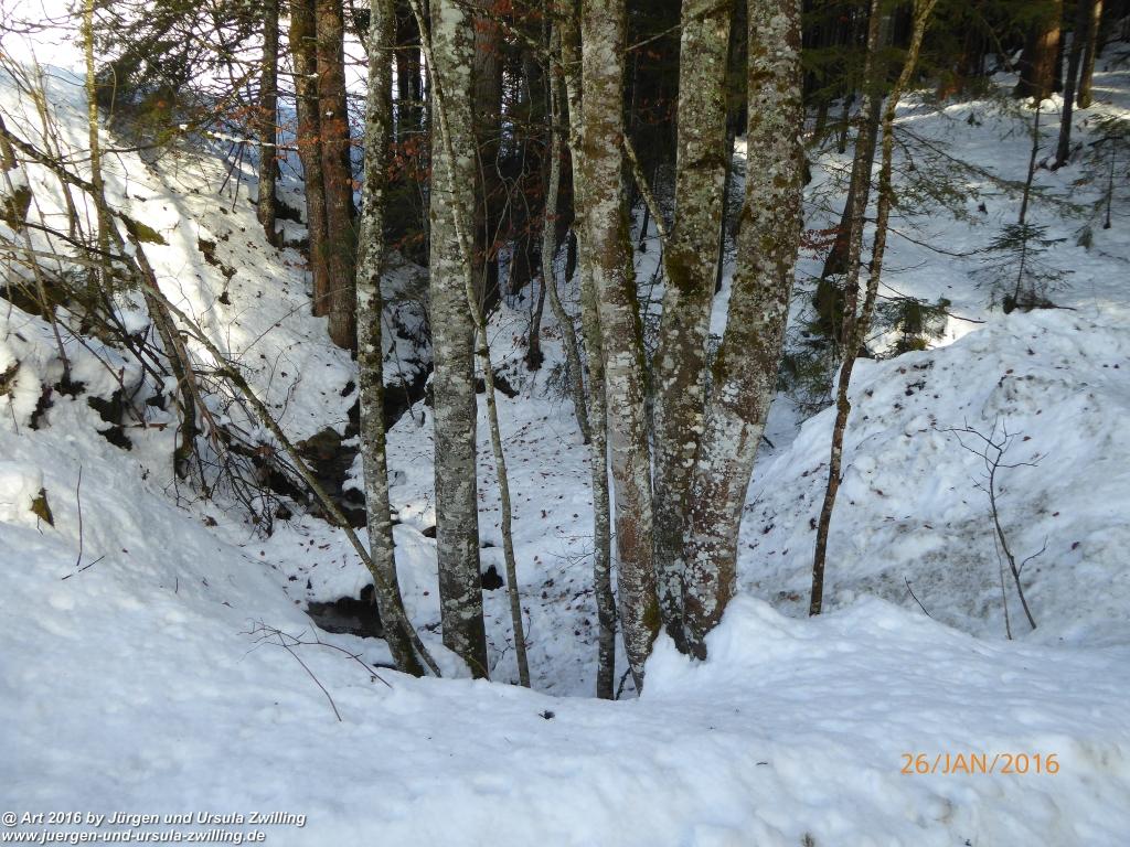 Philosophische Bildwanderung - Haflingertränke - Ellmau-Tirol - Kaisergebirge - Österreich