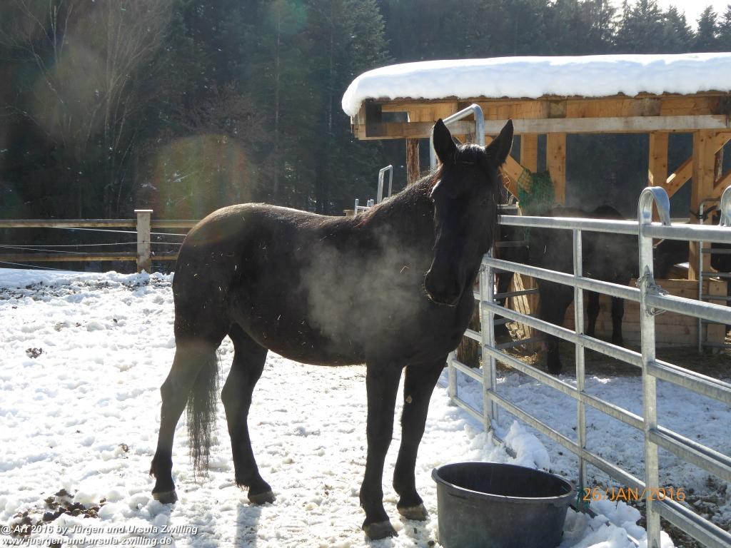 Philosophische Bildwanderung - Haflingertränke - Ellmau-Tirol - Kaisergebirge - Österreich