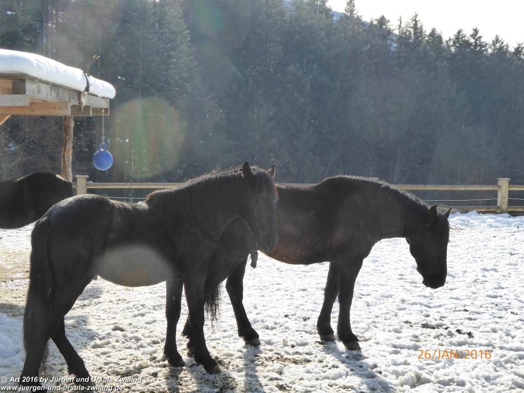 Philosophische Bildwanderung - Haflingertränke - Ellmau-Tirol - Kaisergebirge - Österreich